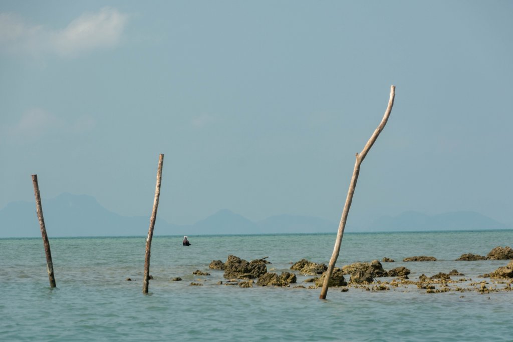 samui-189