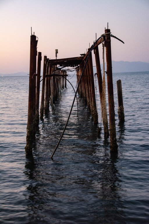 samui-76